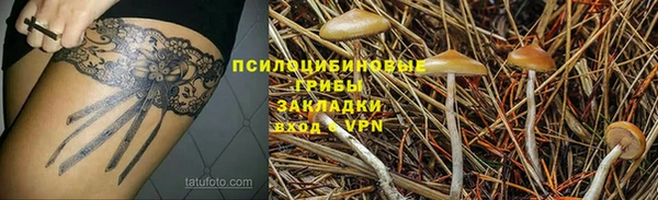 PSILOCYBIN Балахна